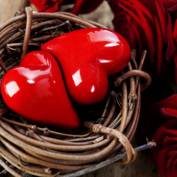 Лена Белоброва