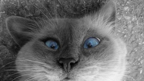 Евгений Андриенко