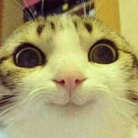 Дарья Харламова