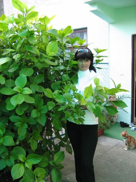 Анжелика Ложкина