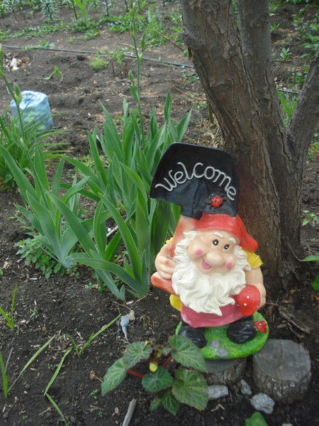 ***оленька ***