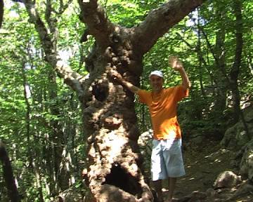 Мансур Филиппов