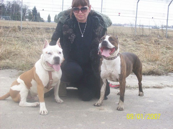 Таня Петрушина Ворона