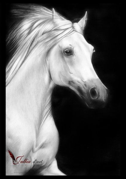 Надежда Мальцева