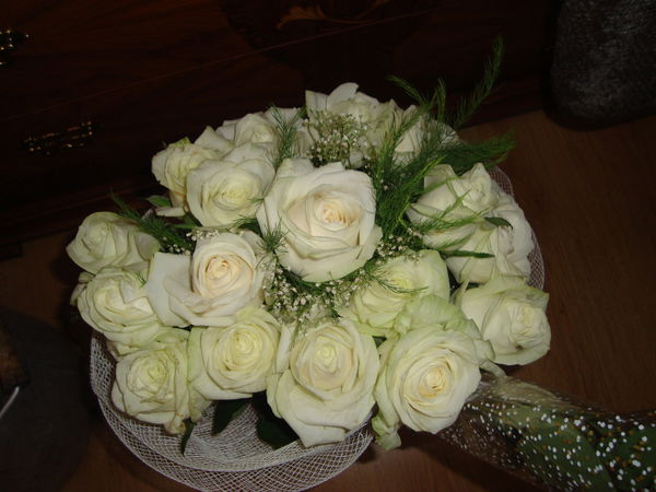 Анет Стрелец