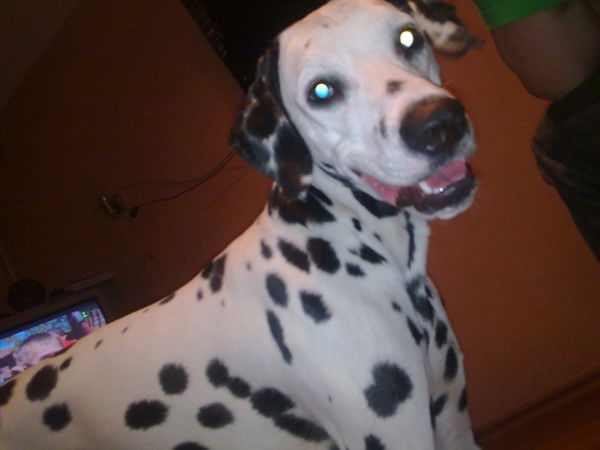 Cемён Трошкин