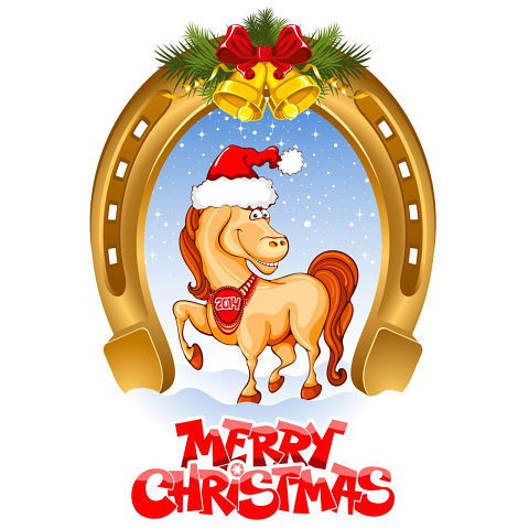 Tanja Alita, Психолог