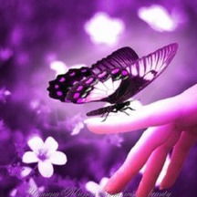 Лидия Шафикова