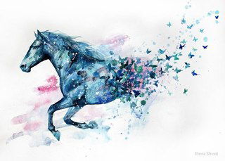 Мария Максимкина