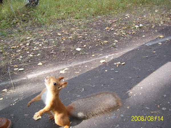 Татьяна Сулима