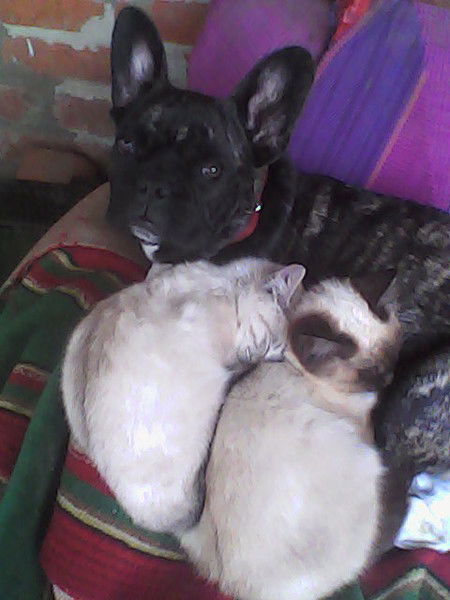 Александр Жаворонков