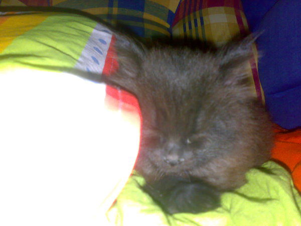 Ванек Бондарев