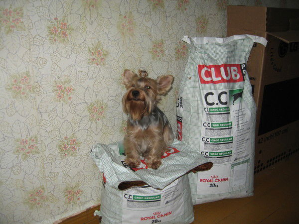 Катя Злобина