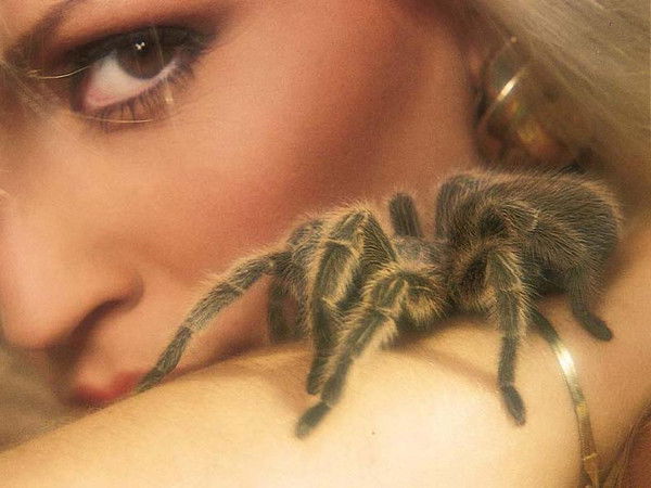 Наталья Голева