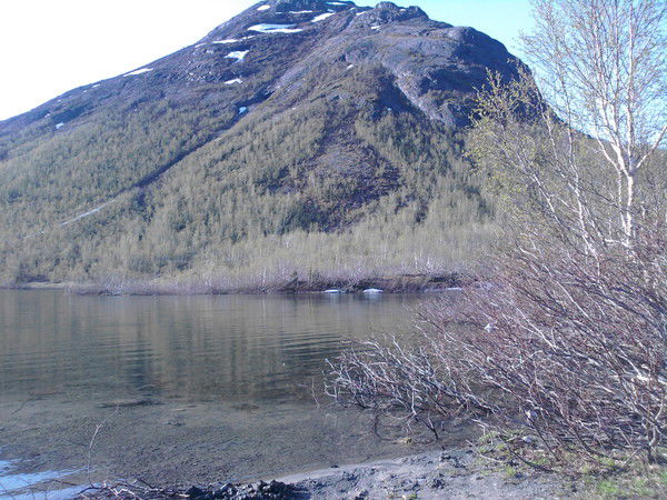 Владимир Конев