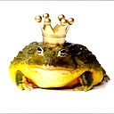 Эльвира Фесенко