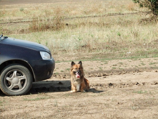 Вера Митрофанова