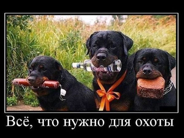 Константин Морозов