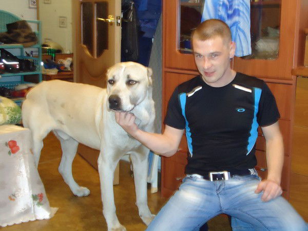 Олег Жестких