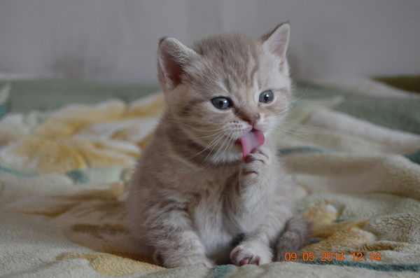 Светлана Сивунова