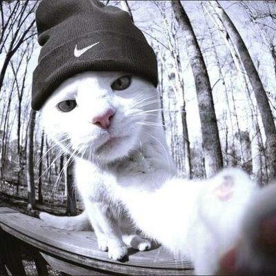 Андрей Костенков