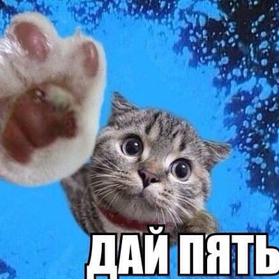 Лилия Фахрутдинова