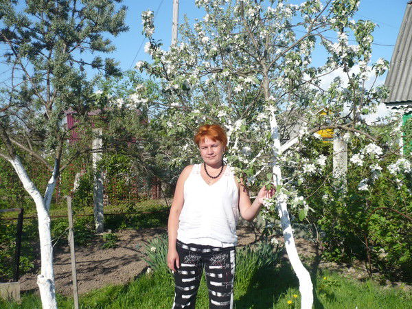 Елена Кошелева