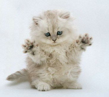 Константин Щербаков