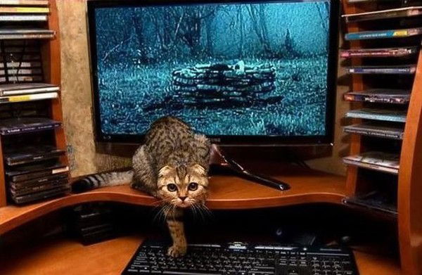 Артем Мазур