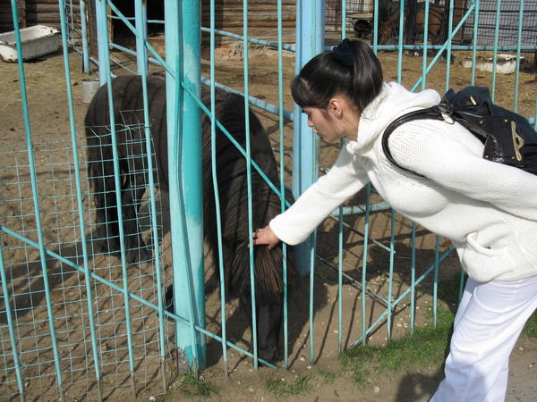 Вероника Науменко