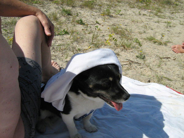 Jolanta Jarmulaviciute