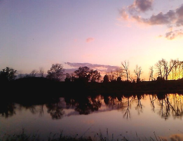 Елена Маликова