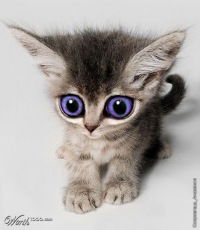 Юлия Пермякова