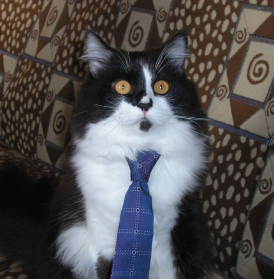 Иван Иванов