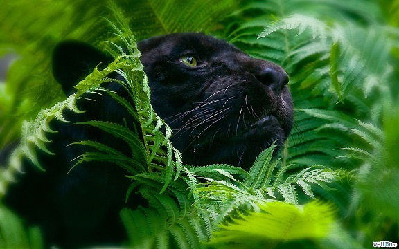 Катерина Зайцева