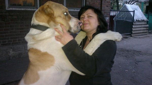 Анна Мелешенко