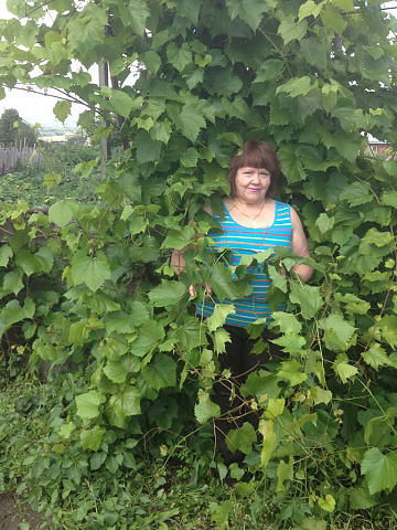 Валентина Николаева