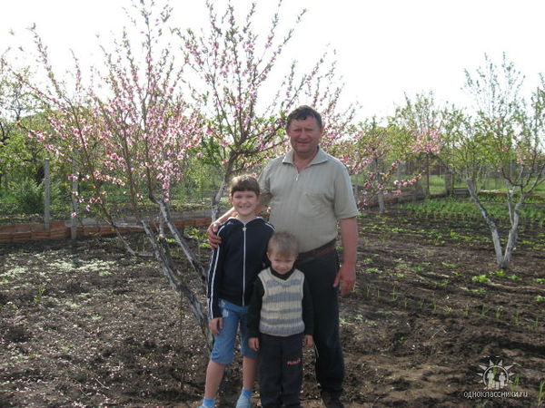 Владимир Гопанков