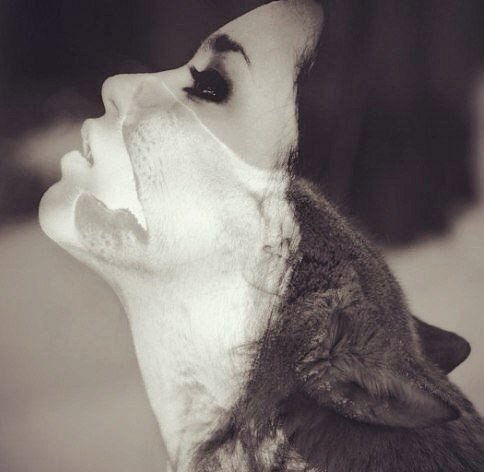 !!!!!!!!!!!!!!!!!!!!!!!!