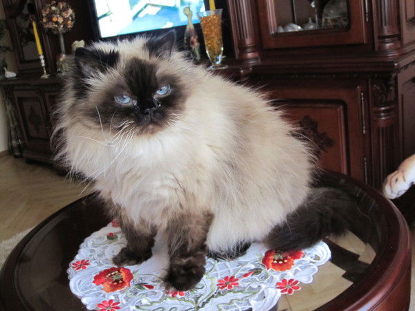 Ольга Маноха