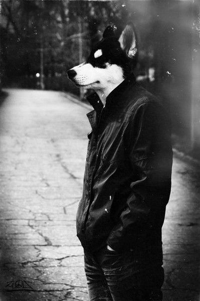 Александр Петров