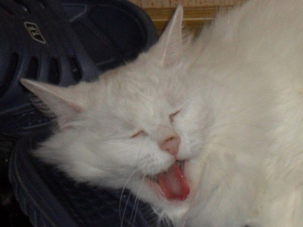 Виктория Марченко