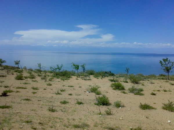 Жалил Качыкеев