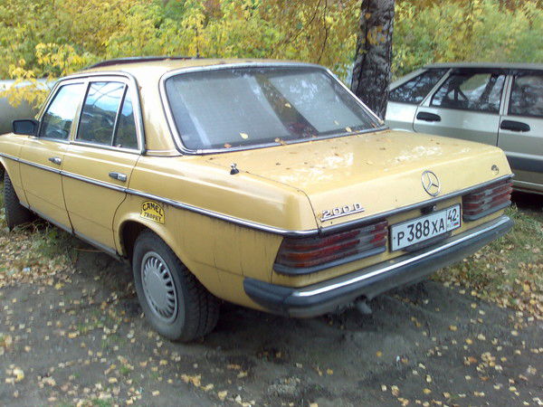 Слава Радостев