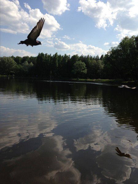 Людмила Комарова