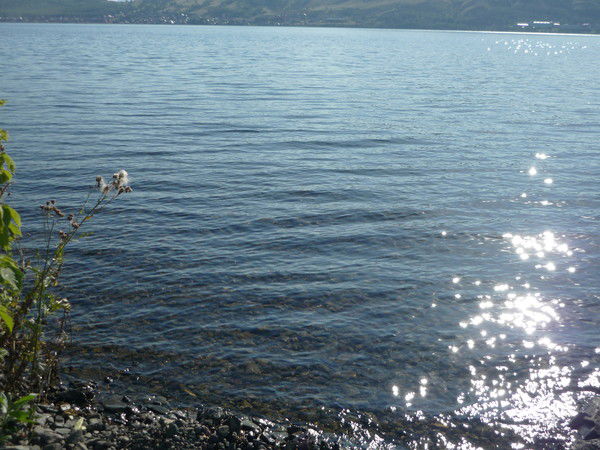 Оксана Клестова