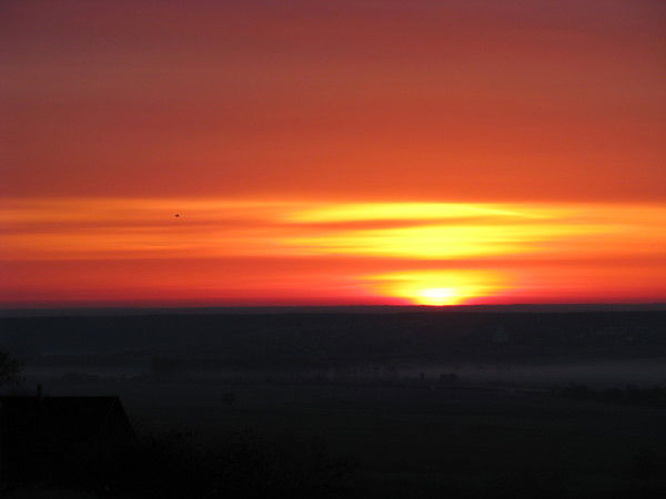 Сергей Веневцев