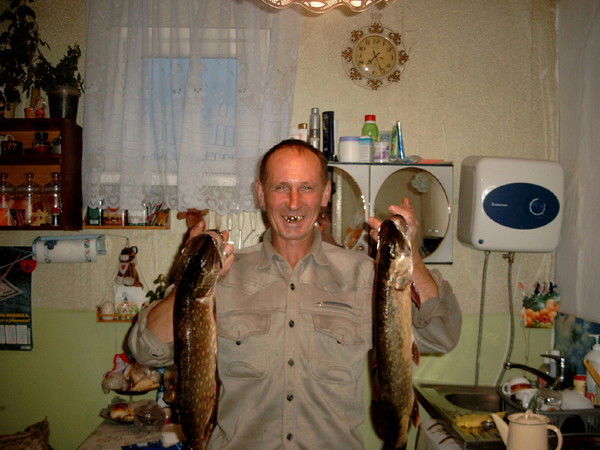 Анатолий Корниенко