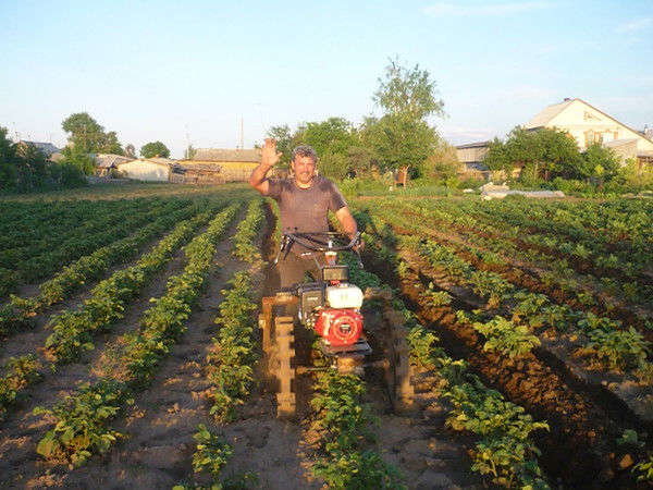 Алексей Грудий