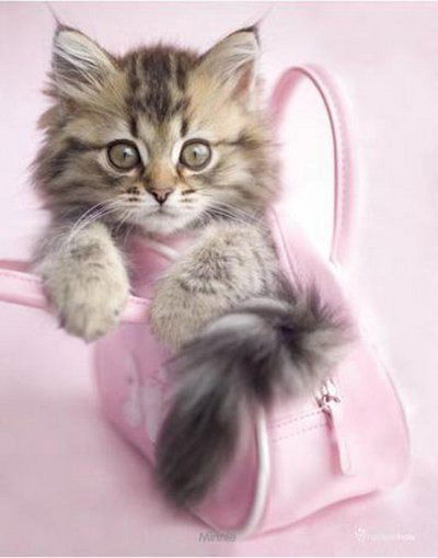 Марина Огнева